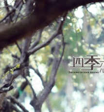 【四季恋歌】 品摄影梦工厂出品