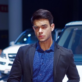 2014年曲江车展模特