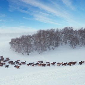 雪海踏浪