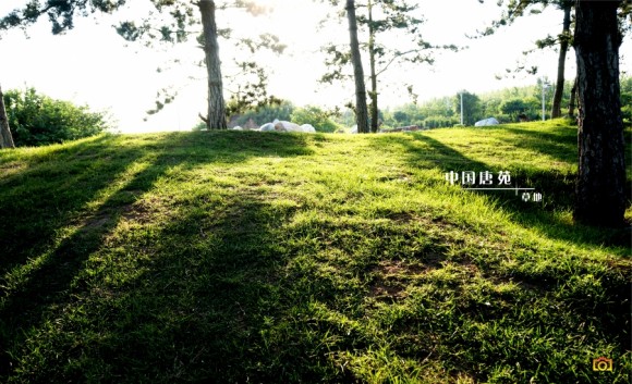 中国唐苑-光影篇