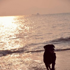 『小萌旅拍记』文艺之都——厦门