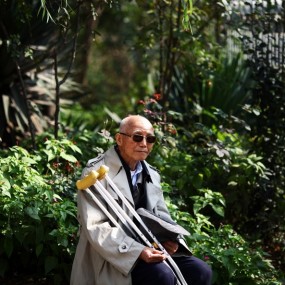 隔着铁栅栏，拍拍小老师