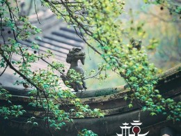 杭州竟然还有这些摄影师私藏的拍照圣地！美哭了！