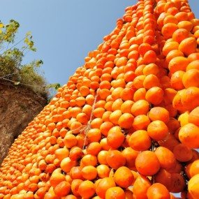 越晒越黑   越吊越丑