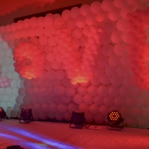 风景御园会所奢侈品走秀