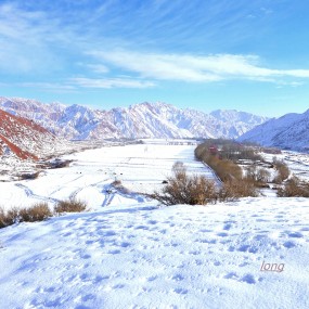银装素裹.分外妖娆