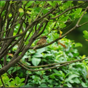 随拍一组 请指正