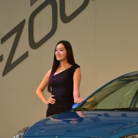 D7000菜鸟去车展