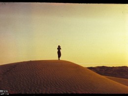 Aleetet loft-photo（二）