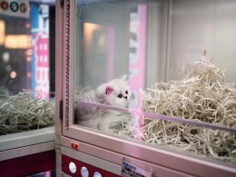 日常景象 ｜澳大利亚摄影师 ​​​​Thomas Prior