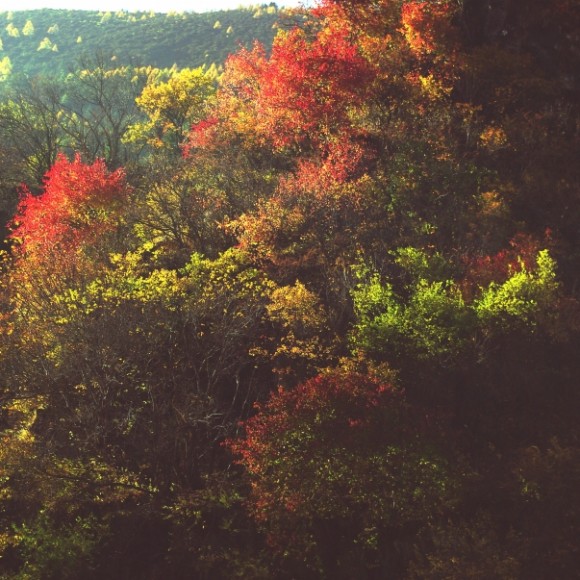 《阳光明媚之色彩》