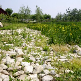 老百姓眼中的美［2012年度世园公园摄影大赛］