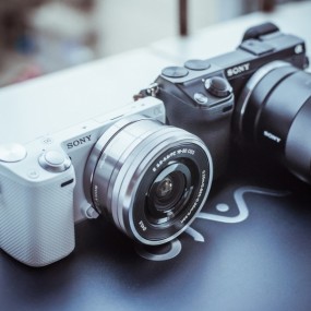 奶五和奶七的美好生活