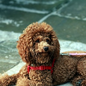 今天我们去CBE外拍的花絮