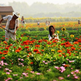 【我的2013】一路走来必须有收获