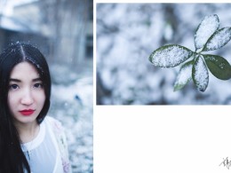 若不是一場雪，還在思索結局