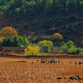 让我目瞪口呆的风景