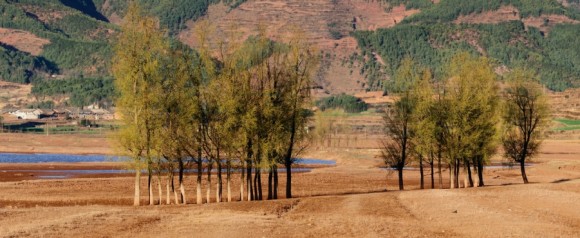 念湖风光续（接片）