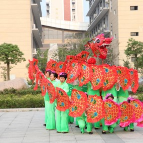 原创《金扇龙》 舞蹈、道具作者：周乐民