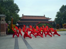 雨后菊花舞韵晨练佳丽画中来