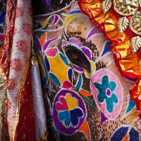 国家地理』每日一图：2011年2月最佳作品