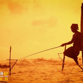 在浪漫的斯里兰卡，你期待遇上什么？