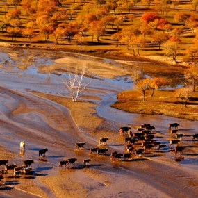 国庆坝上草原摄影吧