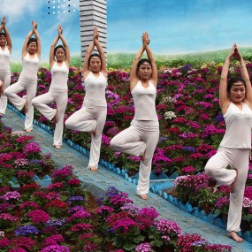 练瑜伽的美女们