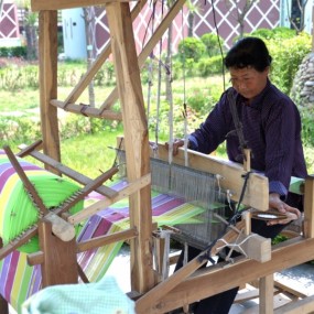 世园会参赛作品——世园有你更精彩