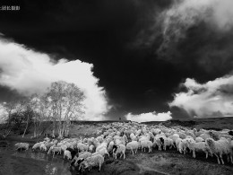 坝上金秋——秋之影