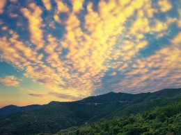 16张照片里的夏天