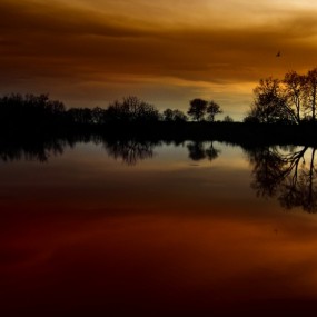 美轮美奂：Albena Markova精品赏析（一）