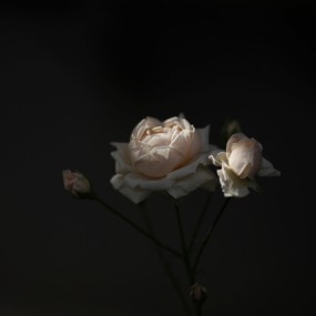 0515下午的几张随拍