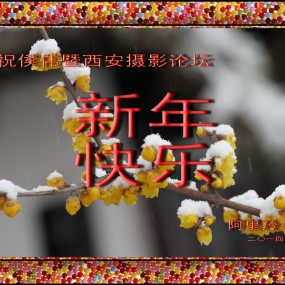 祝侯伟。。。。。。