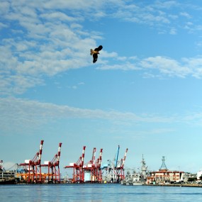 【鹰翔基隆港】