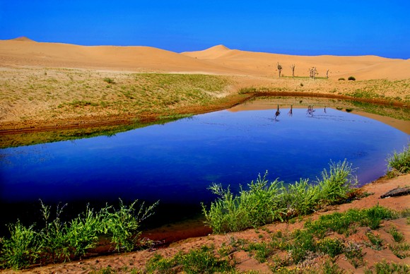 腾格里沙漠里的一个小湖