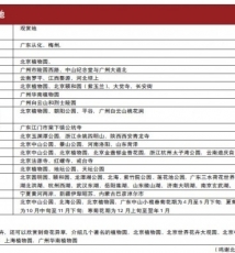 春天花会拍花卉摄影实战全景