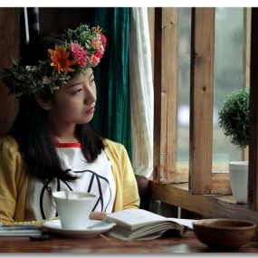 -凤凰---------------