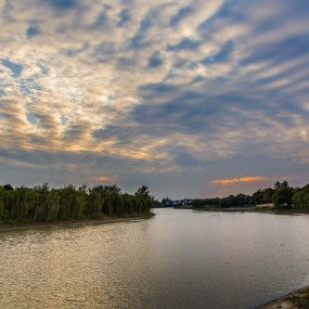 南京七桥瓮湿地公园