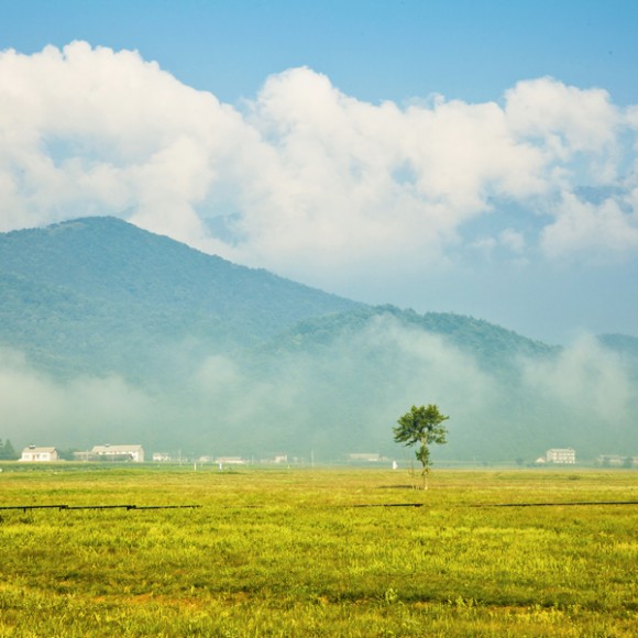 迷人的大九湖—多彩篇