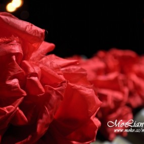 杂~每时每刻的点点滴滴