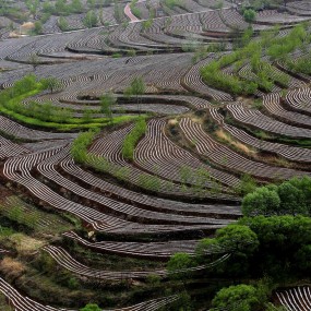 美丽的田园——宜君哭泉梯田