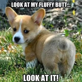 这个屁股我可以玩一年！