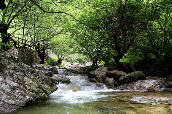 牛背梁的沟与水