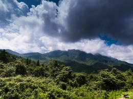 汉中黎坪森林公园--2018年夏