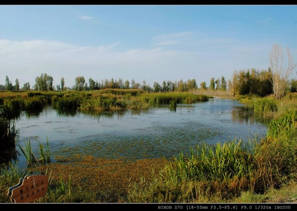 甘肃张掖国家湿地公园