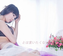 とは言いたくない