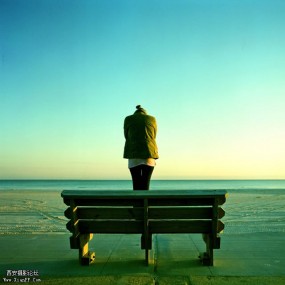 ramell ross 摄影作品:纠结的生命