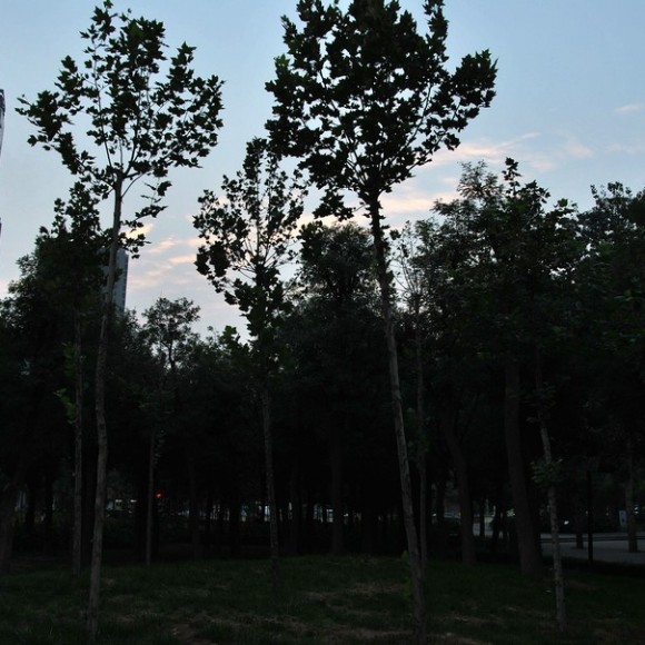 昨日环城公园几张风景