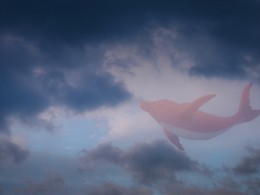 《化身孤岛的鲸》